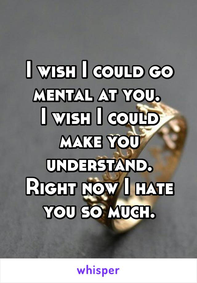 I wish I could go mental at you. 
I wish I could make you understand.
Right now I hate you so much.