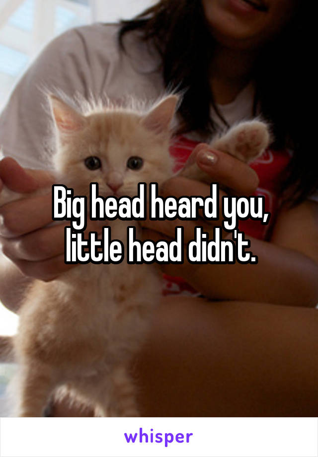 Big head heard you, little head didn't.