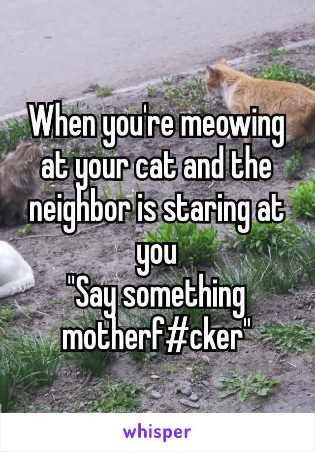When you're meowing at your cat and the neighbor is staring​ at you
"Say something motherf#cker"