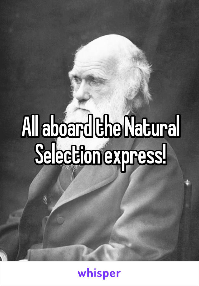 All aboard the Natural Selection express!