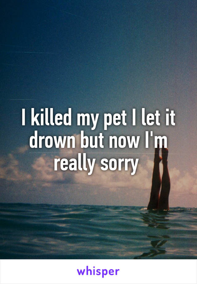 I killed my pet I let it drown but now I'm really sorry 