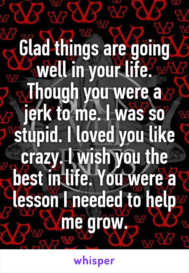 Glad things are going well in your life.
Though you were a jerk to me. I was so stupid. I loved you like crazy. I wish you the best in life. You were a lesson I needed to help me grow.