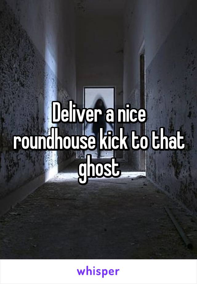 Deliver a nice roundhouse kick to that ghost