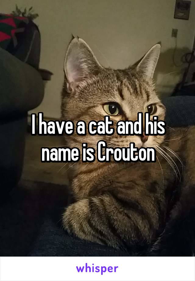 I have a cat and his name is Crouton