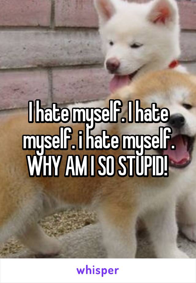 I hate myself. I hate myself. i hate myself. WHY AM I SO STUPID! 
