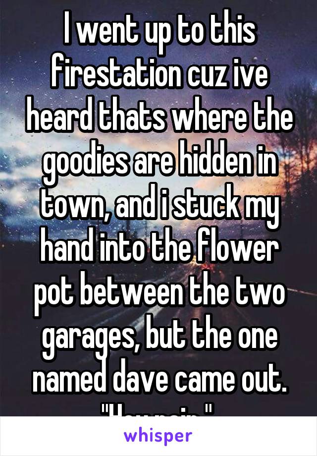 I went up to this firestation cuz ive heard thats where the goodies are hidden in town, and i stuck my hand into the flower pot between the two garages, but the one named dave came out. "Hey rain," 