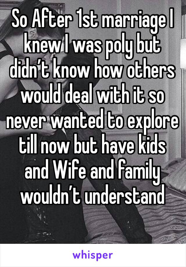 So After 1st marriage I knew I was poly but didn’t know how others would deal with it so never wanted to explore till now but have kids and Wife and family wouldn’t understand 