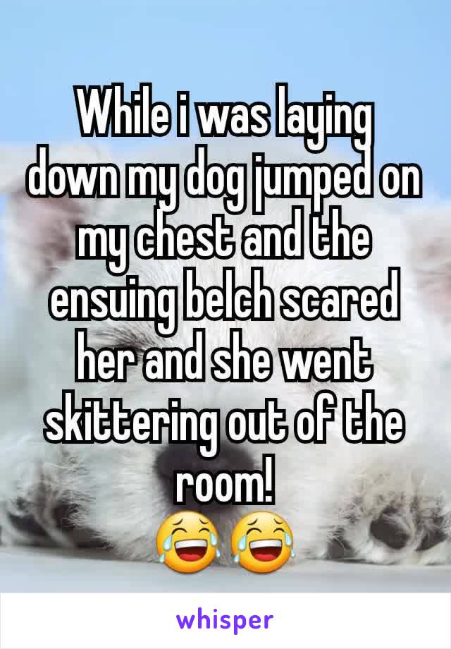 While i was laying down my dog jumped on my chest and the ensuing belch scared her and she went skittering out of the room!
😂😂