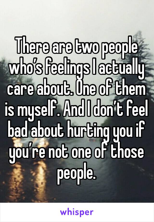 There are two people who’s feelings I actually care about. One of them is myself. And I don’t feel bad about hurting you if you’re not one of those people. 