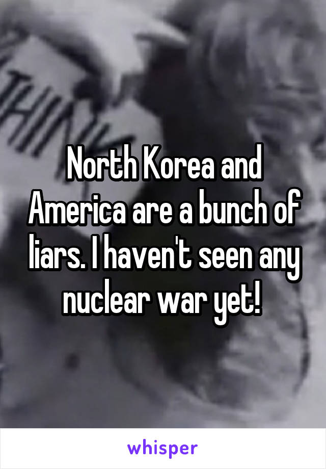 North Korea and America are a bunch of liars. I haven't seen any nuclear war yet! 