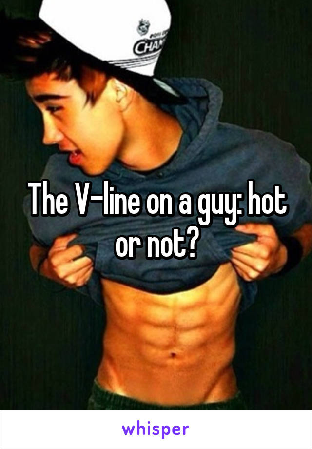 The V-line on a guy: hot or not?