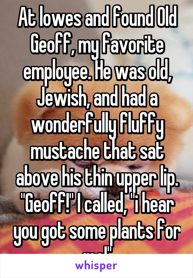 At lowes and found Old Geoff, my favorite employee. He was old, Jewish, and had a wonderfully fluffy mustache that sat above his thin upper lip. "Geoff!" I called, "i hear you got some plants for me!"