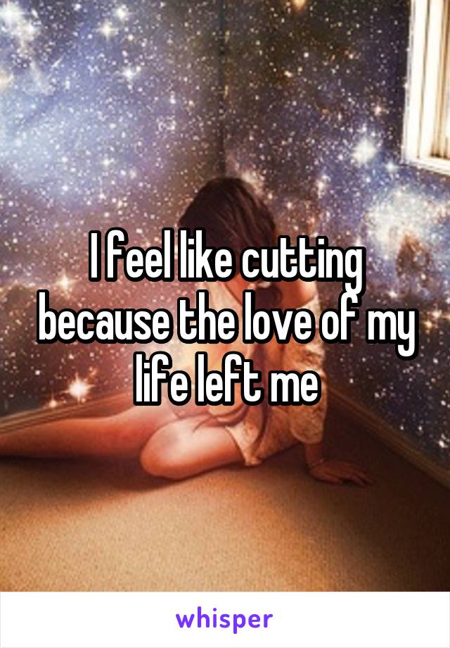 I feel like cutting because the love of my life left me
