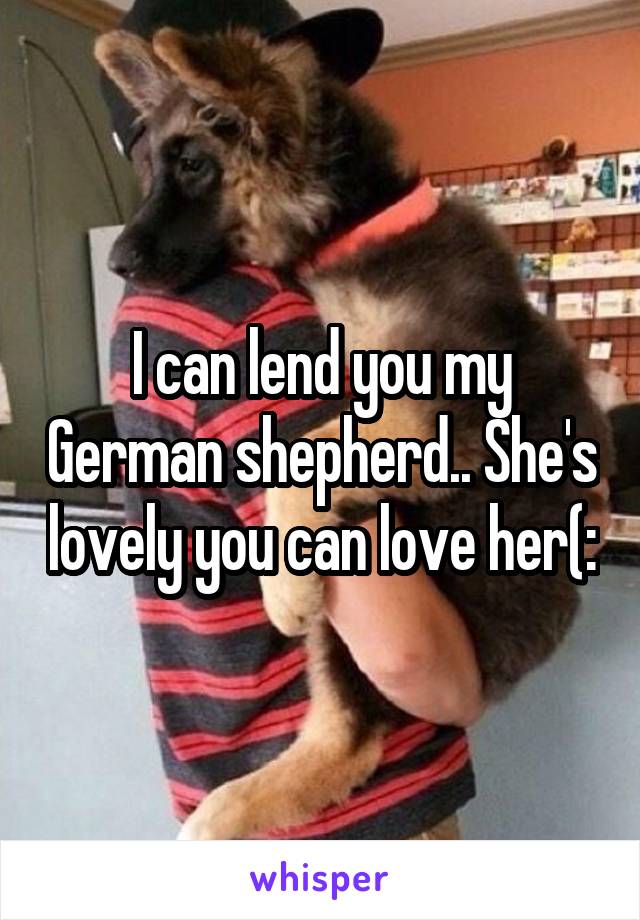 I can lend you my German shepherd.. She's lovely you can love her(: