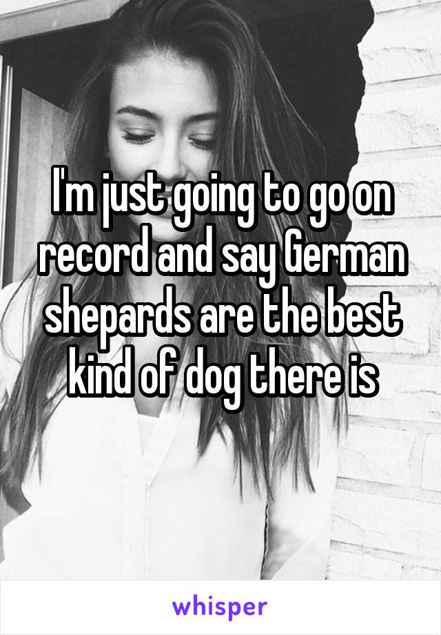I'm just going to go on record and say German shepards are the best kind of dog there is
