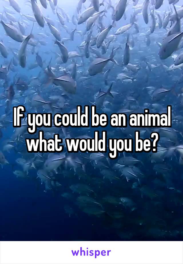 If you could be an animal what would you be?