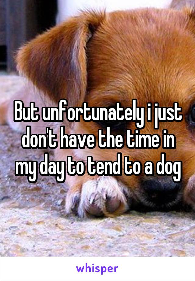 But unfortunately i just don't have the time in my day to tend to a dog