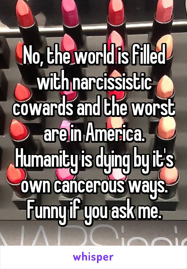 No, the world is filled with narcissistic cowards and the worst are in America. Humanity is dying by it's own cancerous ways. Funny if you ask me.