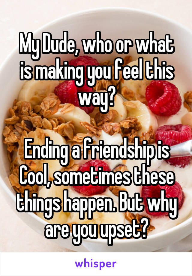 My Dude, who or what is making you feel this way?

Ending a friendship is Cool, sometimes these things happen. But why are you upset?