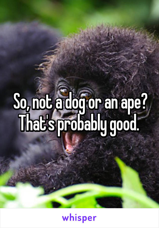 So, not a dog or an ape? That's probably good. 