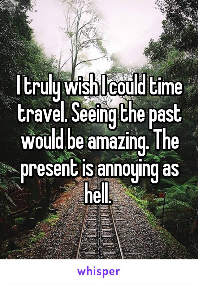 I truly wish I could time travel. Seeing the past would be amazing. The present is annoying as hell. 