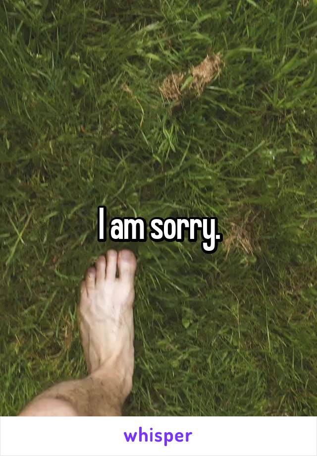 I am sorry.