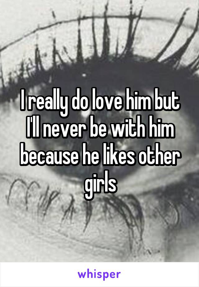 I really do love him but I'll never be with him because he likes other girls