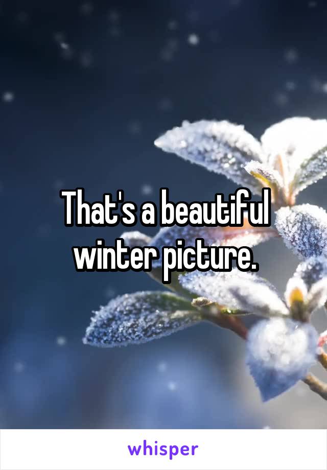That's a beautiful winter picture.