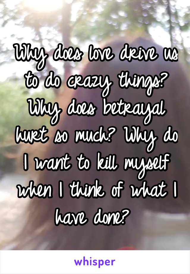 Why does love drive us to do crazy things? Why does betrayal hurt so much? Why do I want to kill myself when I think of what I have done? 