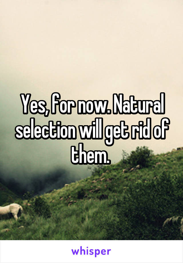 Yes, for now. Natural selection will get rid of them. 