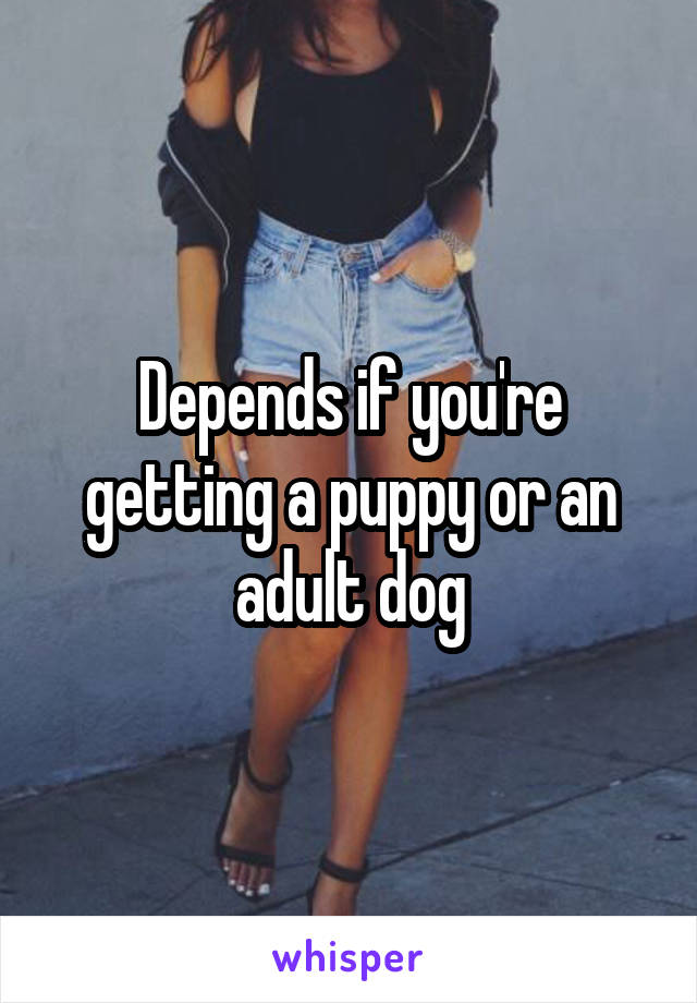 Depends if you're getting a puppy or an adult dog
