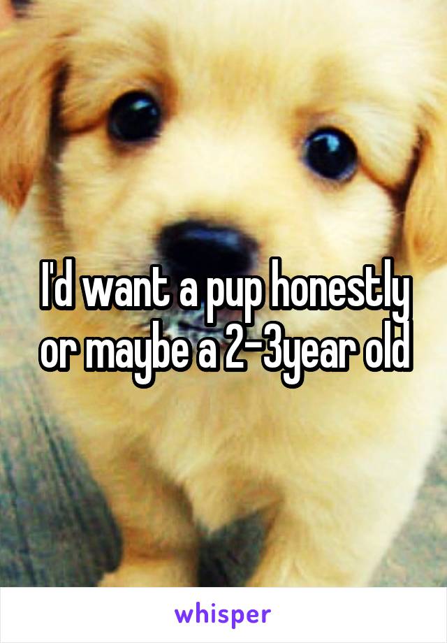 I'd want a pup honestly or maybe a 2-3year old