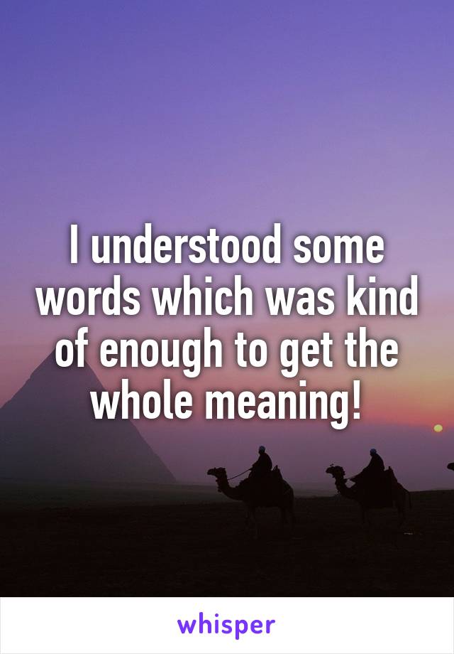 I understood some words which was kind of enough to get the whole meaning!
