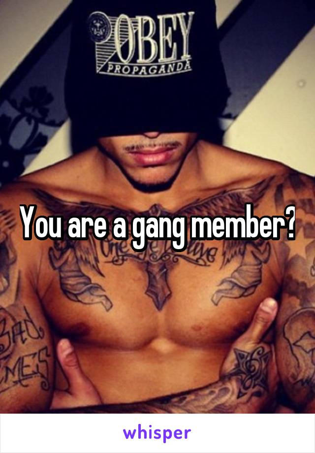 You are a gang member?