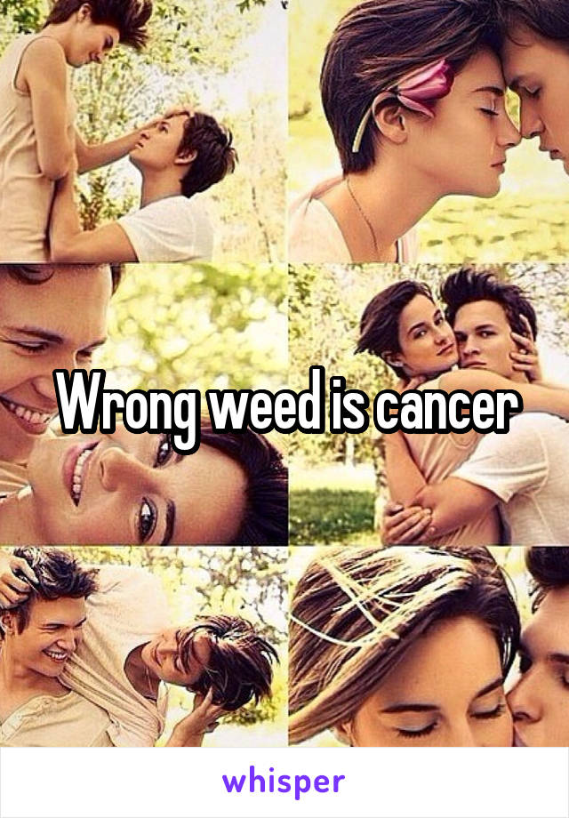 Wrong weed is cancer