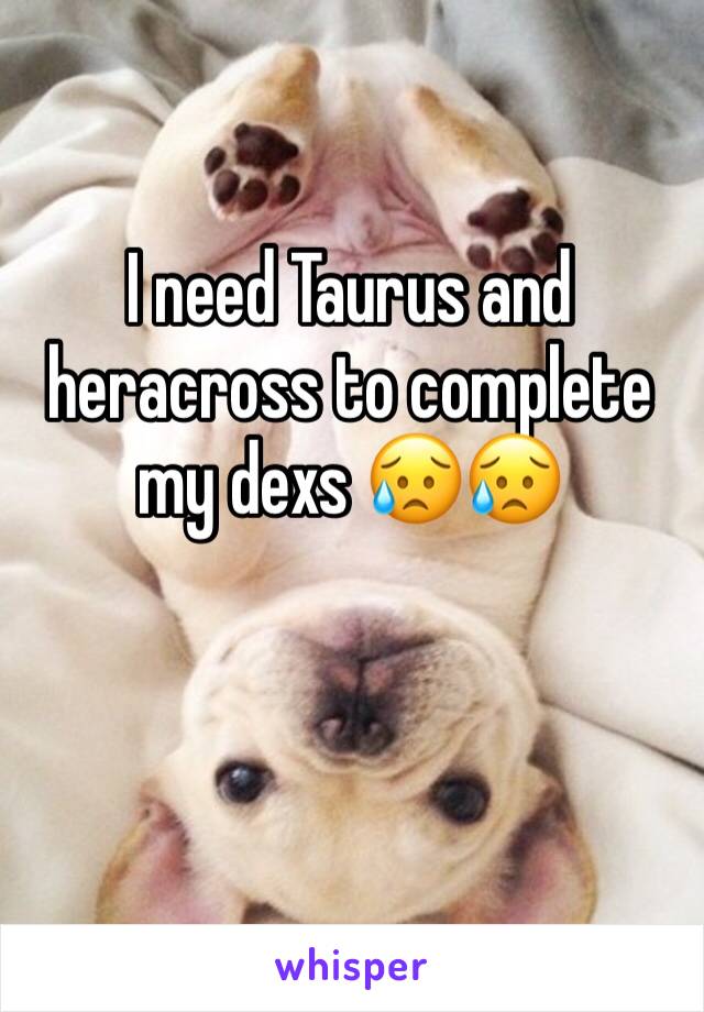 I need Taurus and heracross to complete my dexs 😥😥