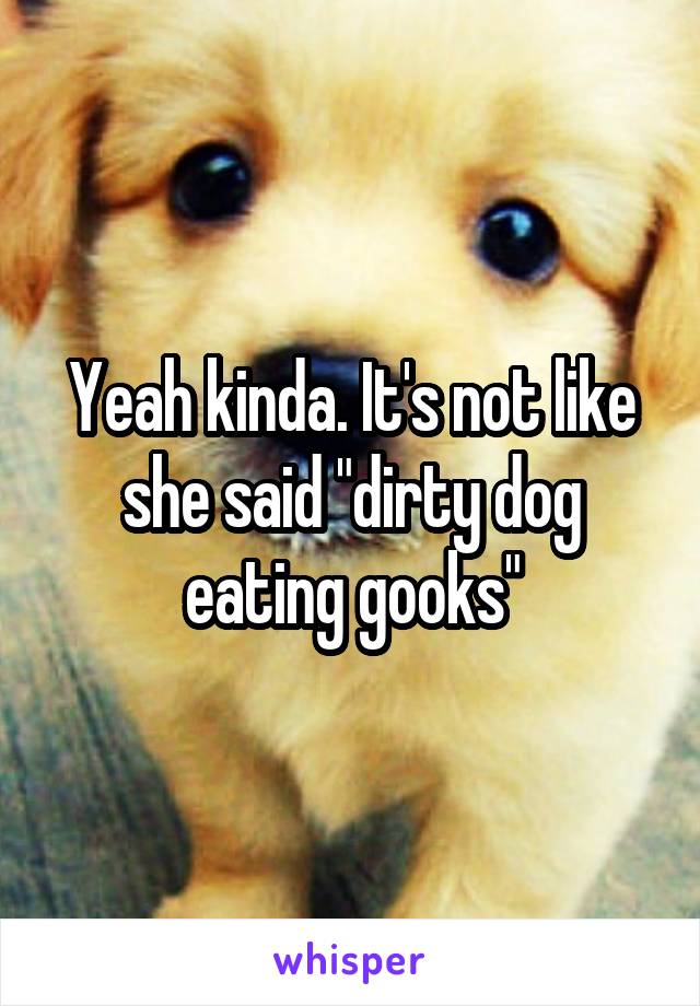 Yeah kinda. It's not like she said "dirty dog eating gooks"