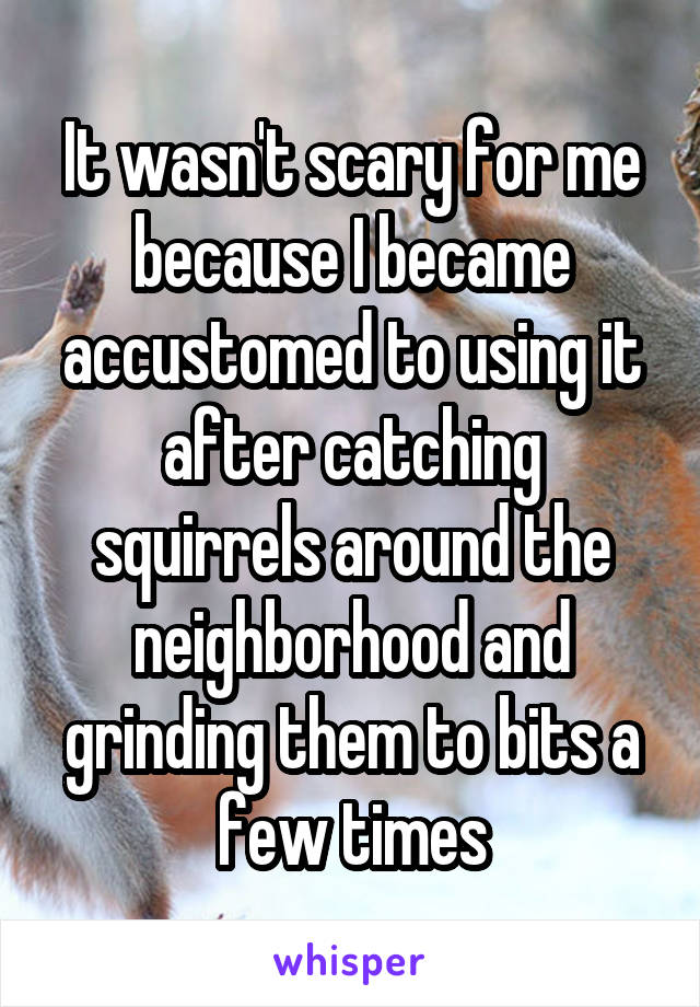 It wasn't scary for me because I became accustomed to using it after catching squirrels around the neighborhood and grinding them to bits a few times
