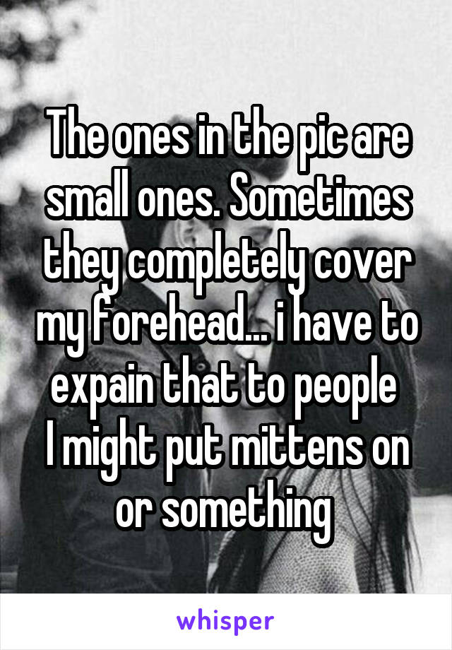 The ones in the pic are small ones. Sometimes they completely cover my forehead... i have to expain that to people 
I might put mittens on or something 