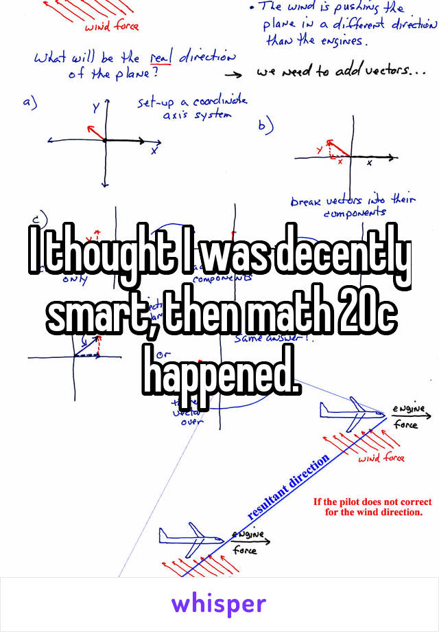 I thought I was decently smart, then math 20c happened.