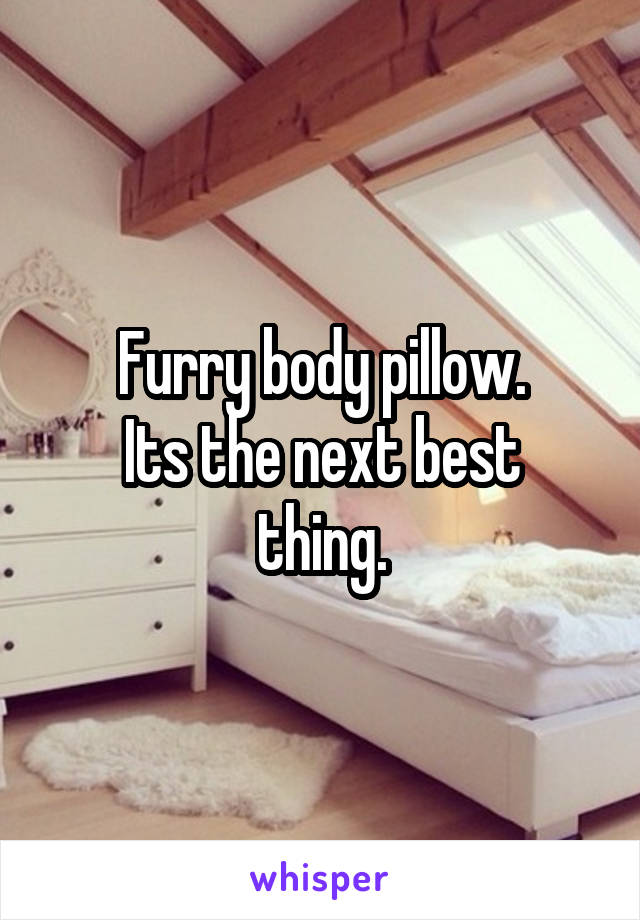 Furry body pillow.
Its the next best thing.