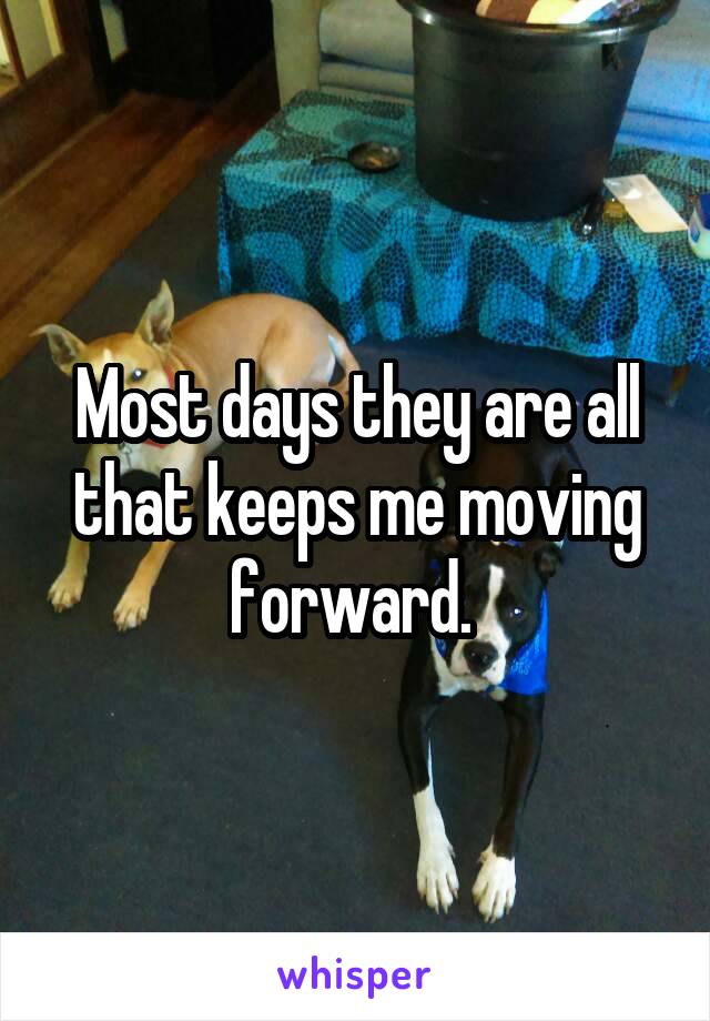 Most days they are all that keeps me moving forward. 