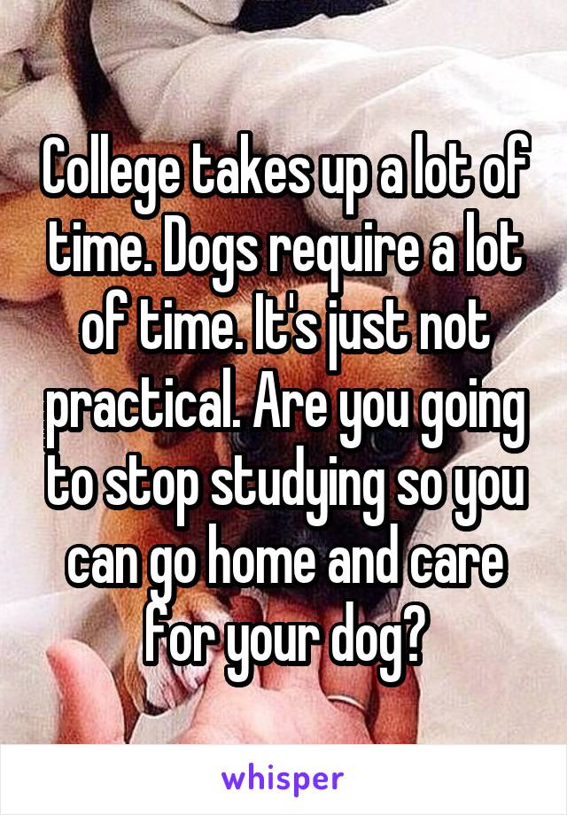 College takes up a lot of time. Dogs require a lot of time. It's just not practical. Are you going to stop studying so you can go home and care for your dog?
