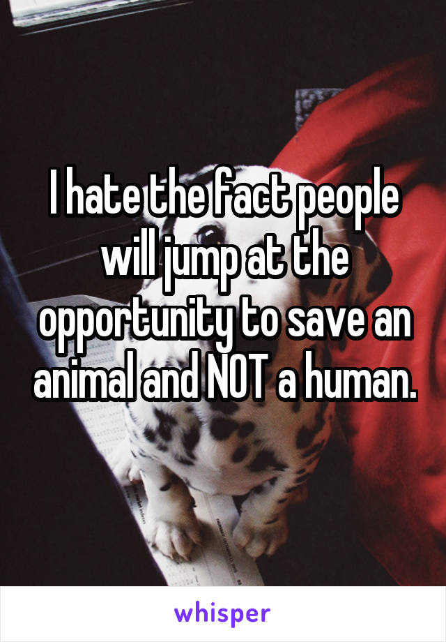I hate the fact people will jump at the opportunity to save an animal and NOT a human. 