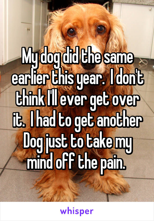 My dog did the same earlier this year.  I don't think I'll ever get over it.  I had to get another Dog just to take my mind off the pain. 