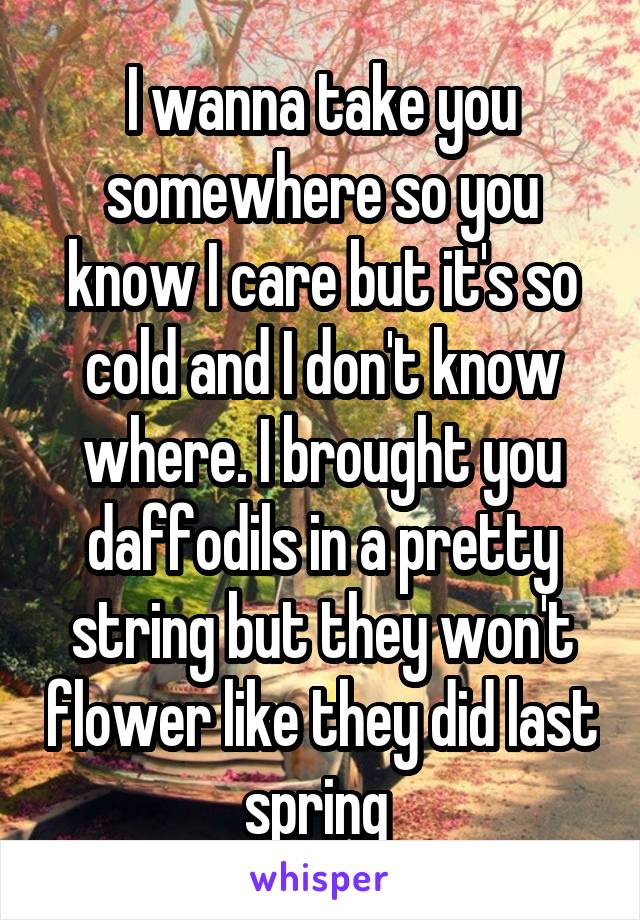 I wanna take you somewhere so you know I care but it's so cold and I don't know where. I brought you daffodils in a pretty string but they won't flower like they did last spring 
