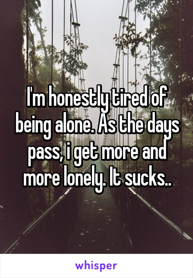 I'm honestly tired of being alone. As the days pass, i get more and more lonely. It sucks..