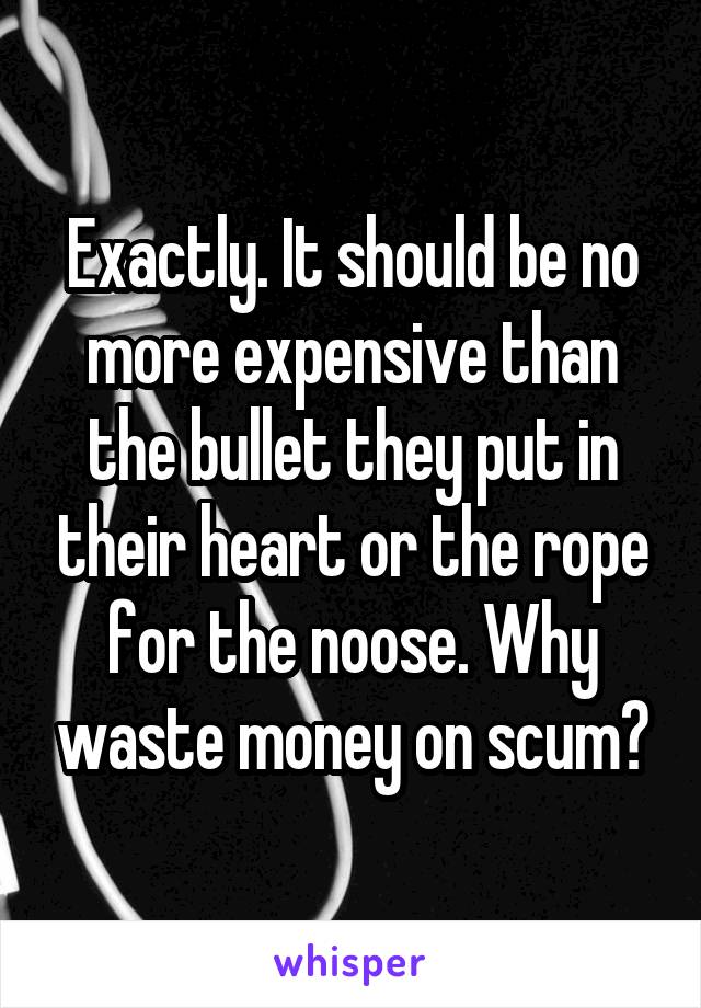 Exactly. It should be no more expensive than the bullet they put in their heart or the rope for the noose. Why waste money on scum?