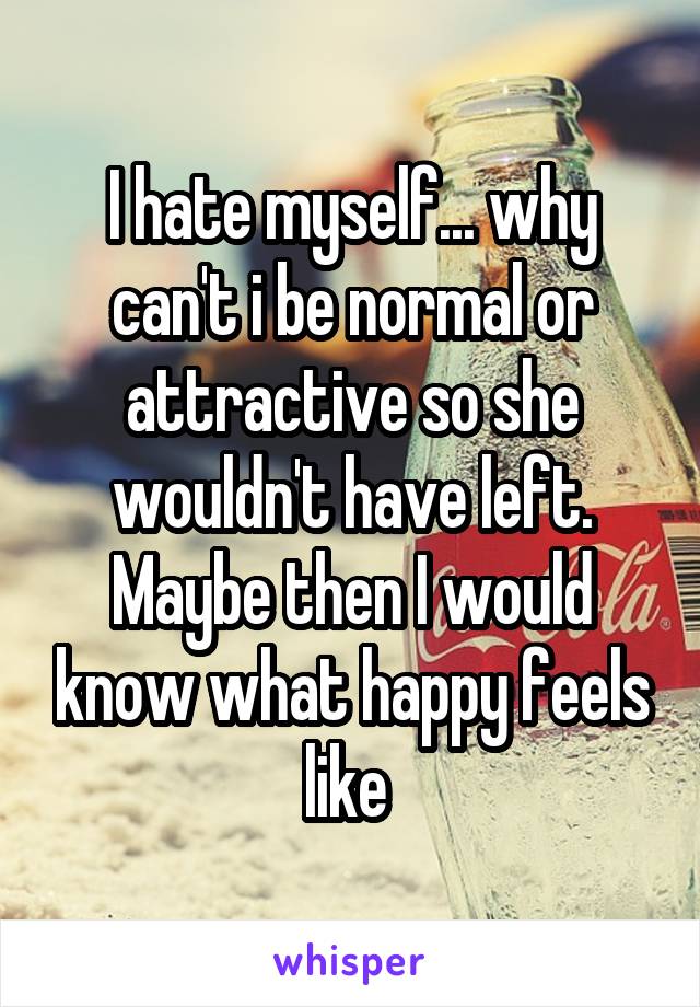 I hate myself... why can't i be normal or attractive so she wouldn't have left. Maybe then I would know what happy feels like 
