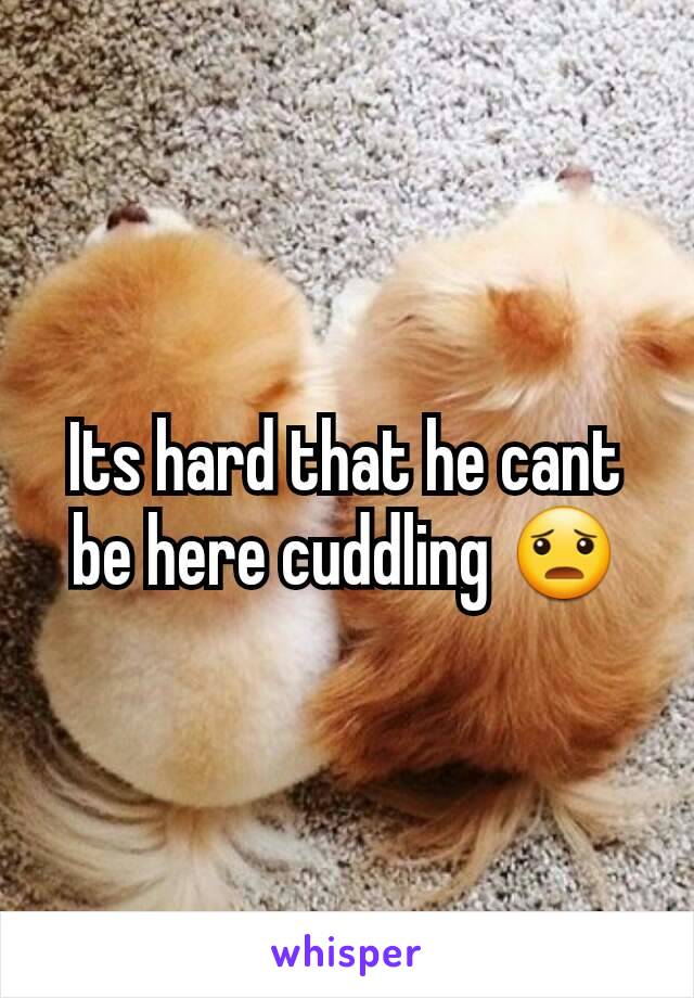 Its hard that he cant be here cuddling 😦
